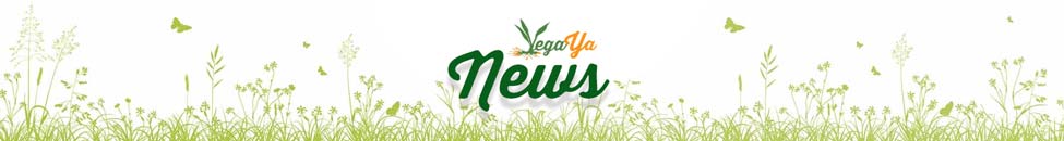 News / Aktuelles bei Vegaya