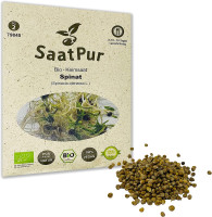 Keimsprossen Spinat - Keimsaat - bio (20 g)