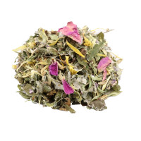 Gutes Bauchgefühl - Hildegard wild – bio & roh Gutes Bauchgefühl - Hildegard wild – bio & roh