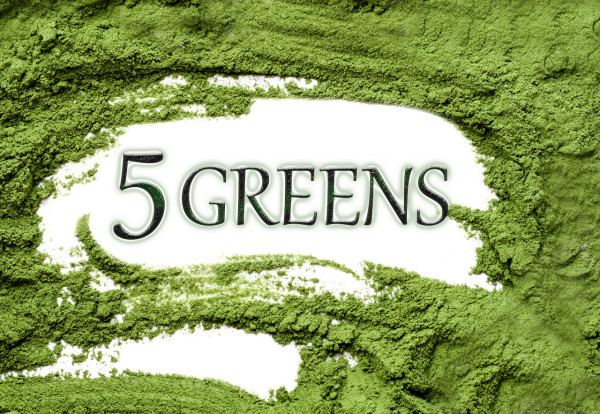 5 Greens Grassaftpulver - bio & roh