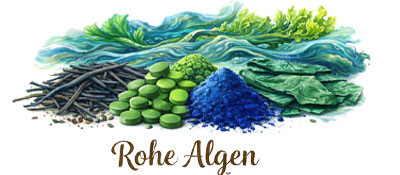 Rohe Algen kaufen