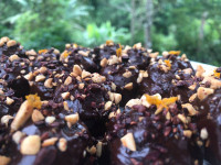 Mulberry Protein Balls