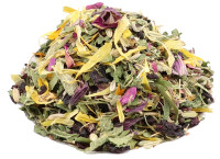 Hildegard Fastentee - bio Hildegard Fastentee - bio