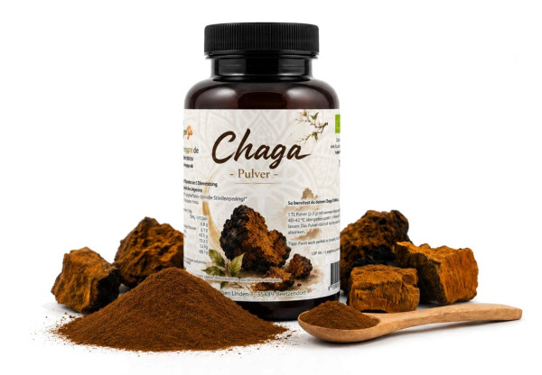 Chaga Pulver - bio