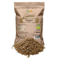 Einkorn Urkorn gekeimt - bio & roh