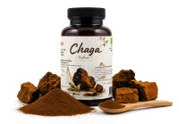 Chaga Pulver - bio